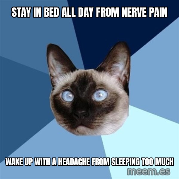 Chronic Illness Cat meme: stay in bed all day from nerve pain / wake up with a headache from sleeping too much