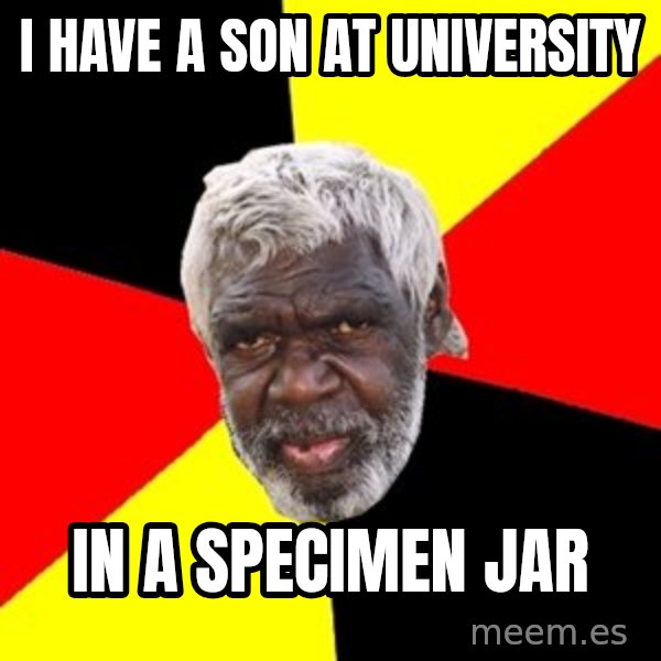 Aboriginal meme: i have a son at university / in a specimen jar