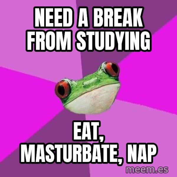 Foul Bachelorette Frog meme: Need A Break from studying / Eat, Masturbate, nap