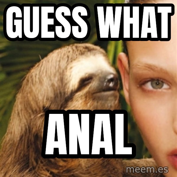 The Rape Sloth meme: guess what / anal