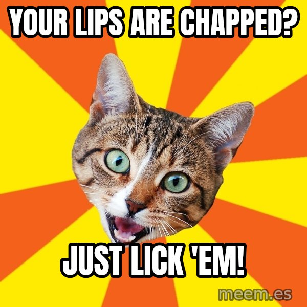 Bad Advice Cat meme: YOur lips are chapped? / JUst lick 'em!