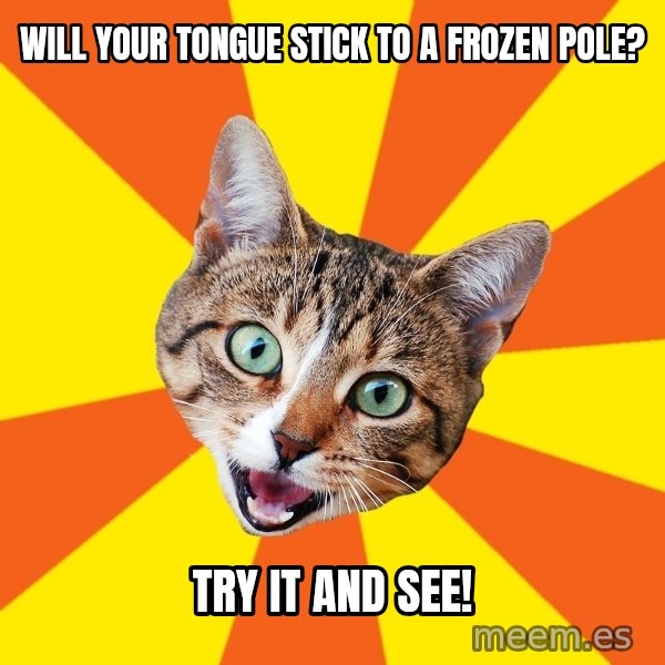 Bad Advice Cat meme: Will your tongue stick to a frozen pole? / try it and see!