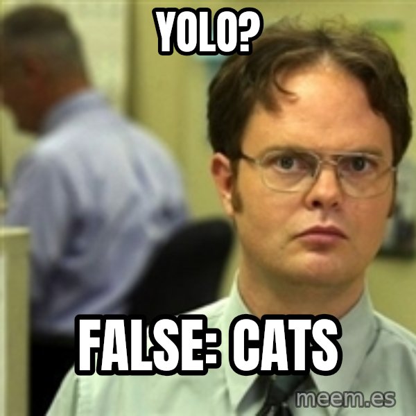 Dwight Schrute meme: YOLO? / False: cats
