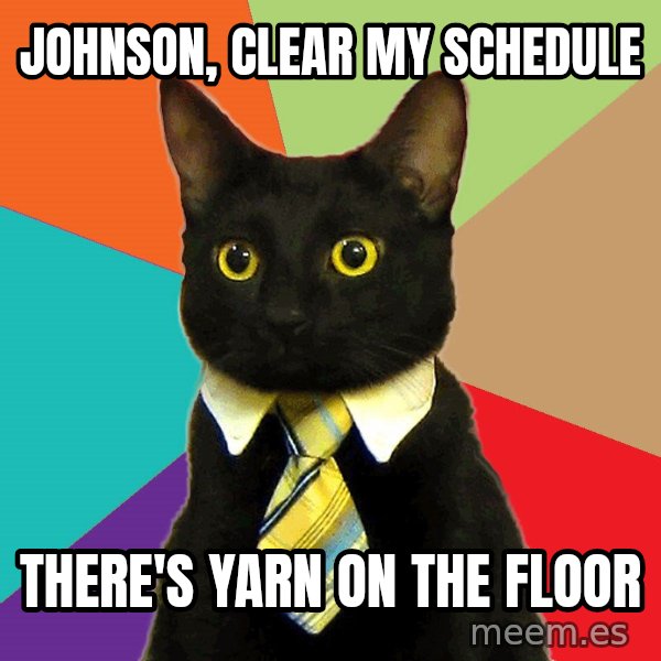 Business Cat meme: Johnson, clear my schedule / there's yarn on the floor
