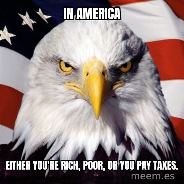 American Pride Eagle meme: In America / either you're rich, poor, or you pay taxes.