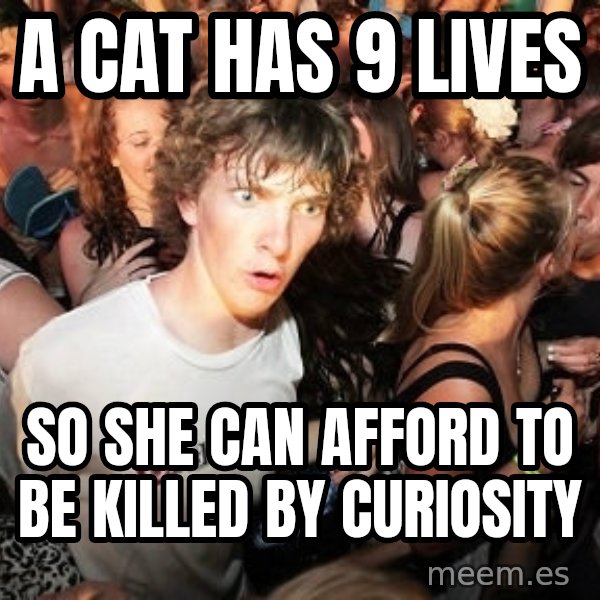 Sudden Realization Ralph meme: A Cat has 9 lives / so she can afford to be killed by curiosity
