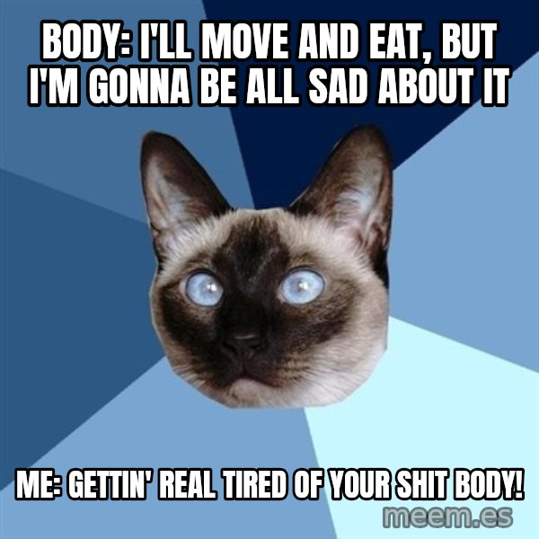 Chronic Illness Cat meme: body: i'll move and eat, but i'm gonna be all sad about it / me: gettin' real tired of your shit body!
