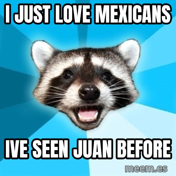 Lame Pun Coon meme: I JUST LOVE MEXICANS / IVE SEEN JUAN BEFORE