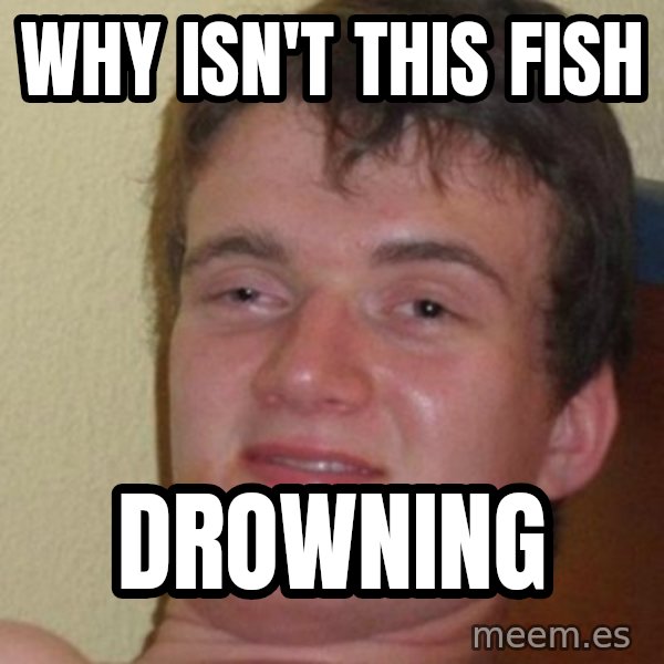 Really Stoned Guy meme: why isn't this fish / drowning