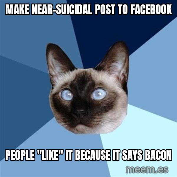 Chronic Illness Cat meme: make near-suicidal post to facebook / people "like" it because it says bacon