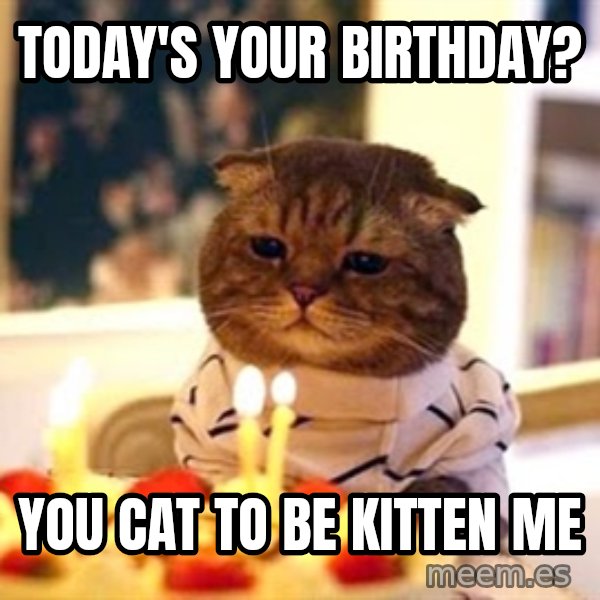 Birthday Cat meme: Today's your birthday? / You cat to be kitten me