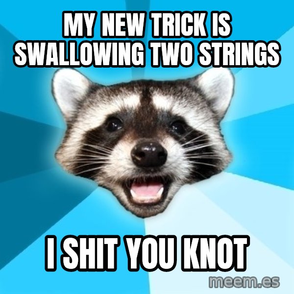 Lame Pun Coon meme: my new trick is swallowing two strings / i shit you knot