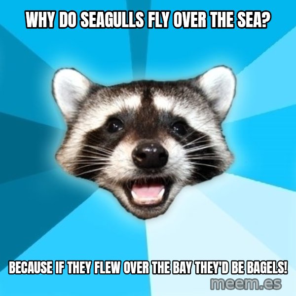 Lame Pun Coon meme: why do seagulls fly over the sea? / because if they flew over the bay they'd be bagels!