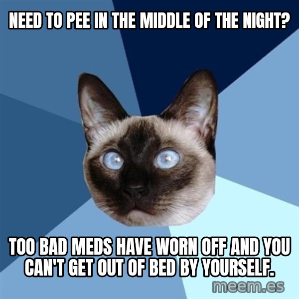 Chronic Illness Cat meme: Need to pee in The middle of the night? / Too bad meds have woRn off and you can't get out of bed by yoursElf.
