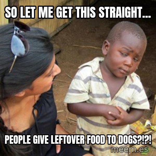 Skeptical 3rd World Kid meme: SO LET ME GET THIS STRAIGHT... / PEOPLE GIVE LEFTOVER FOOD TO DOGS?!?!