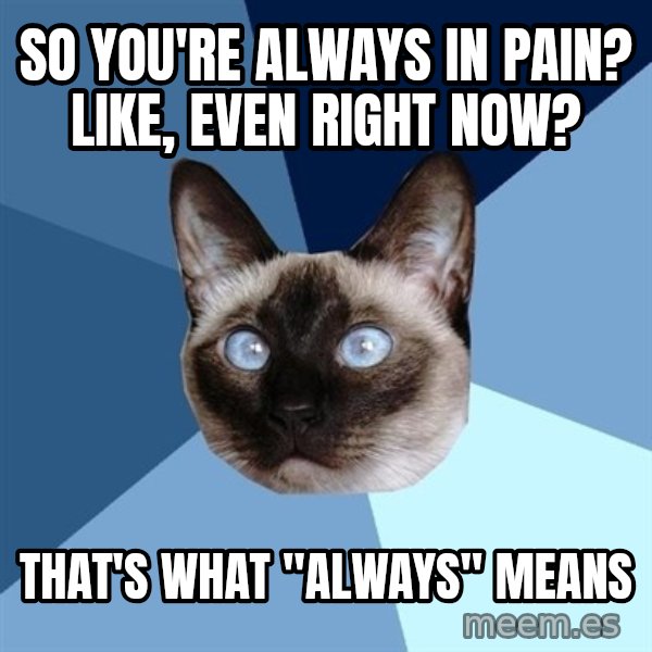 Chronic Illness Cat meme: So you're always in pain? Like, even right now? / That'S what "always" means