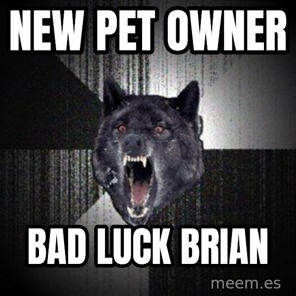 Insanity Wolf meme: New pet owner / bad luck brian