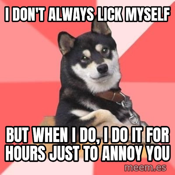 Cool Dog meme: i don't always lick myself / but when I do, i do it for hours just to annoy you