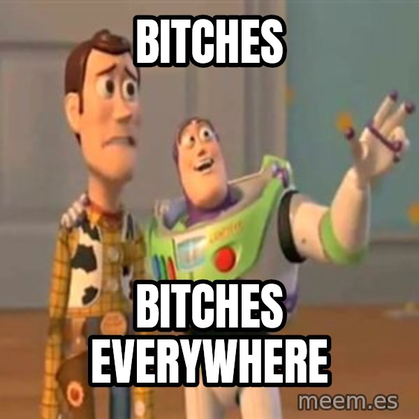 X, X Everywhere  meme: BiTCHES / BITCHES EVERYWHERE