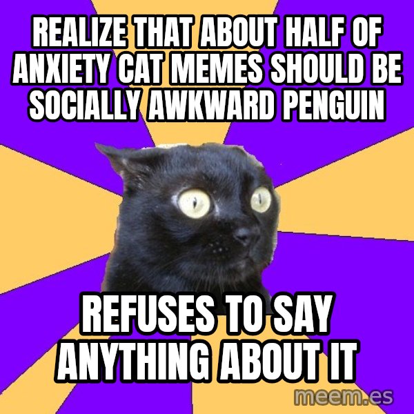 Anxiety Cat meme: Realize that about half of anxiety cat memes should be socially awkward penguin / refuses to say anything about it