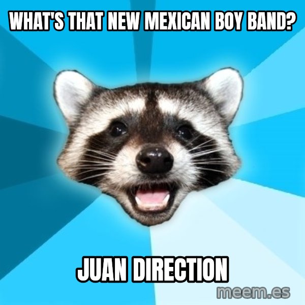 Lame Pun Coon meme: WHAT'S THAT NEW MEXICAN BOY BAND? / JUAN DIRECTION