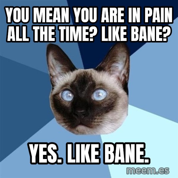 Chronic Illness Cat meme: you mean you are in pain all the time? Like bane? / yes. like bane.