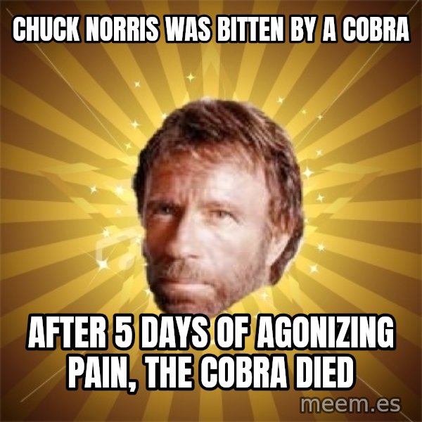 Chuck Norris Advice meme: CHUCK NORRIS WAS BITTEN BY A COBRA / AFTER 5 DAYS OF AGONIZING PAIN, THE COBRA DIED