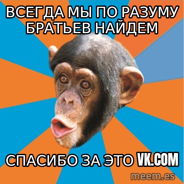 Stupid Monkey meme: всегда мы по разуму братьев найдем / спасибо за это vk.com