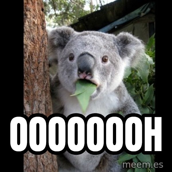 Koala can't believe it meme: oooooooh