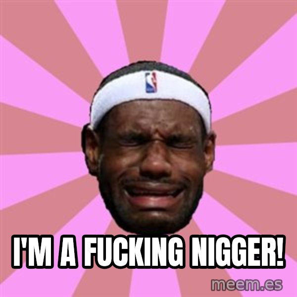 LeBron James meme: I'M A FUCKING NIGGER!