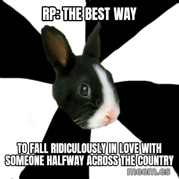 Roleplaying Rabbit meme: RP: the best way / to fall Ridiculously in love with someone halfway across the country