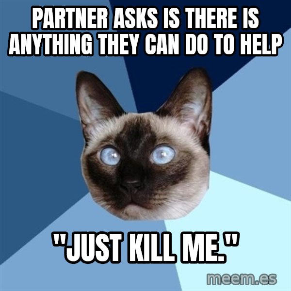 Chronic Illness Cat meme: Partner asks is there is ANYTHING they can do to help / "just kill me."