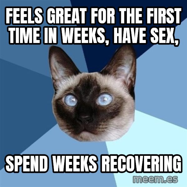 Chronic Illness Cat meme: feels great for the first time in weeks, have sex, / spend weeks recovering