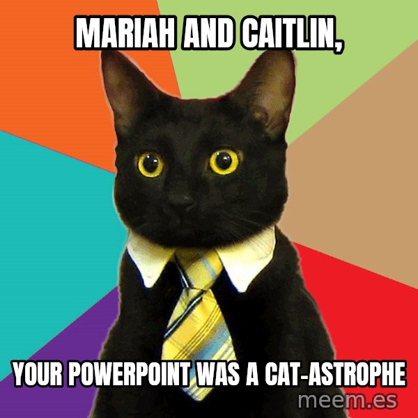 Business Cat meme: Mariah and Caitlin, / Your powerpoint was a cat-astrophe
