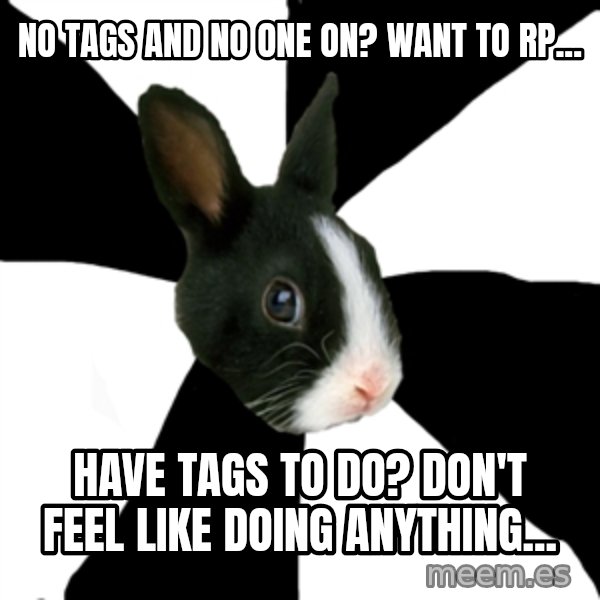 Roleplaying Rabbit meme: No tags and no one on? want to rp... / have tags to do? don't feel like doing anything...