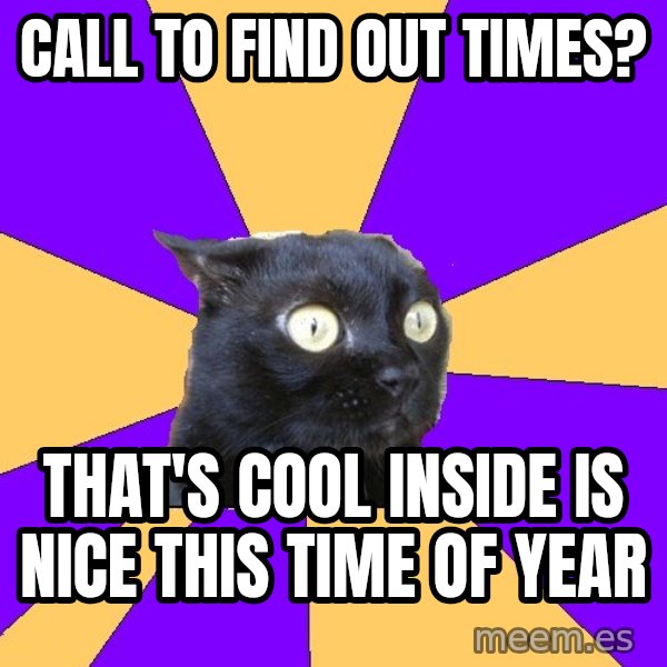 Anxiety Cat meme: call to find out times? / that's cool inside is nice this time of year