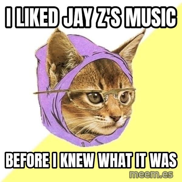 Hipster Kitty meme: I liked jay z's music / before i knew what it was