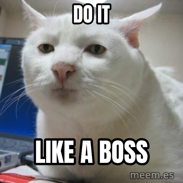 Serious Cat meme: do   it / like a boss