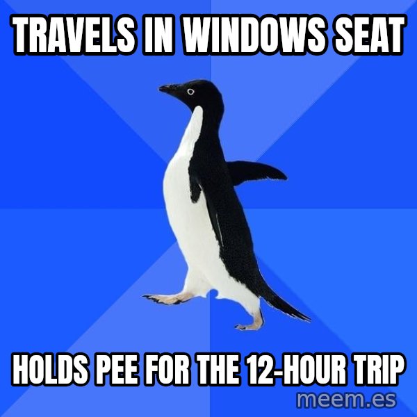 Socially Awkward Penguin meme: Travels in windows seat / holds pee for the 12-hour trip