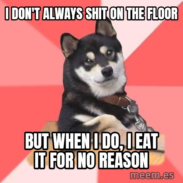 Cool Dog meme: i don't always shit on the floor / but when i do, i eat it for no reason