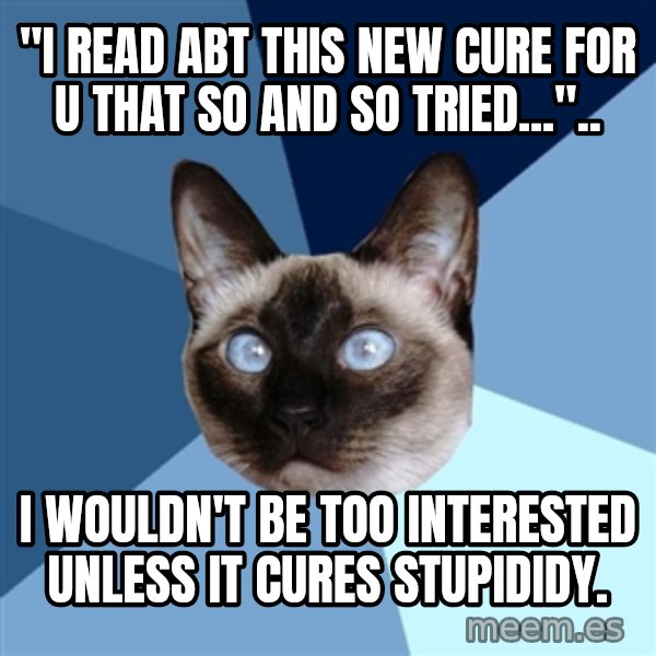 Chronic Illness Cat meme: "i read abt this new cure for u that so and so tried...".. / i wouldn't be too interested unless it cures stupididy.