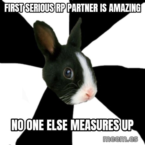 Roleplaying Rabbit meme: First serious rp partner is amazing / No one else measures up
