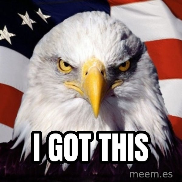 American Pride Eagle meme: ı got this