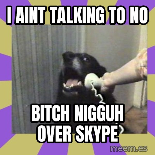 Yes, this is dog! meme: I AINT TALKING TO NO / BITCH NIGGUH OVER SKYPE