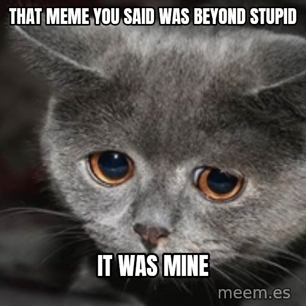 Sadcat meme: that meme you said was beyond stupid / it was mine