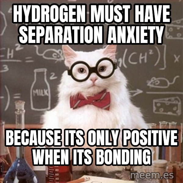 Science Cat meme: hydrogen must have separation anxiety / Because its only positive when its bonding