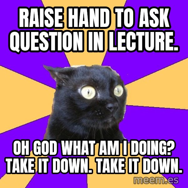 Anxiety Cat meme: Raise hand to ask question in lecture. / oh god What am I doing? take it down. take it down.