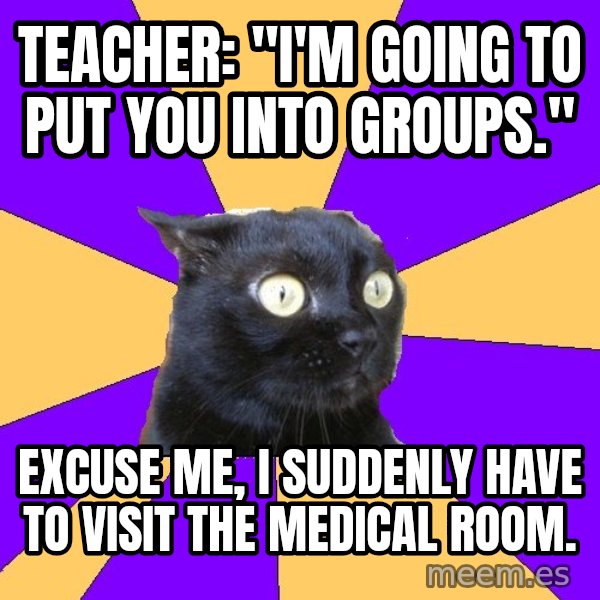 Anxiety Cat meme: Teacher: "I'm going to put you into groups." / Excuse me, I suddenly have to visit the medical room.