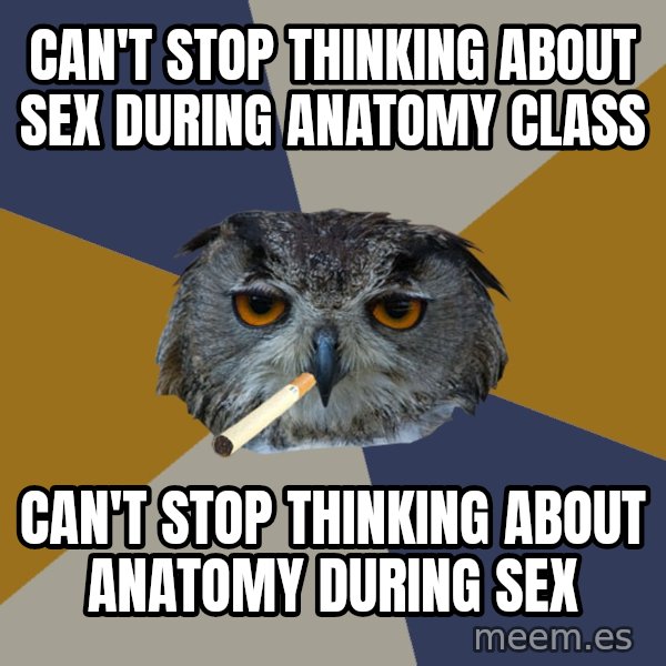 Art Student Owl meme: Can't stop thinking about sex during anatomy class / can't stop thinking about anatomy during sex