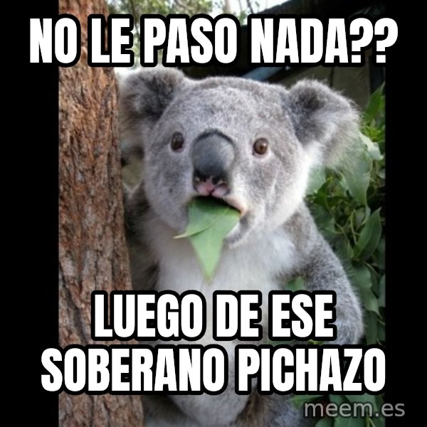 Koala can't believe it meme: no le paso nada?? / luego de ese soberano pichazo